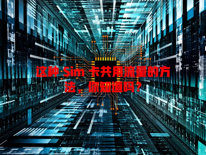 这种 Sim 卡共用流量的方法，你知道吗？