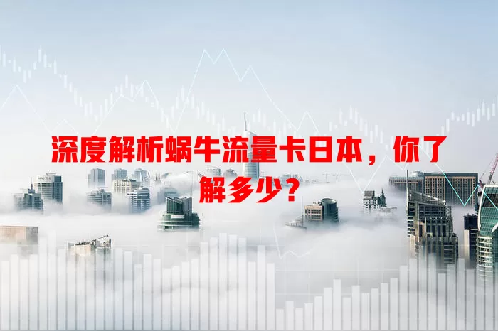 深度解析蜗牛流量卡日本，你了解多少？