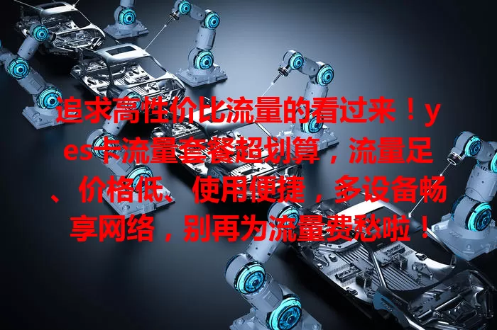追求高性价比流量的看过来！yes卡流量套餐超划算，流量足、价格低、使用便捷，多设备畅享网络，别再为流量费愁啦！