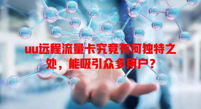 uu远程流量卡究竟有何独特之处，能吸引众多用户？