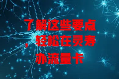 了解这些要点，轻松在灵寿办流量卡