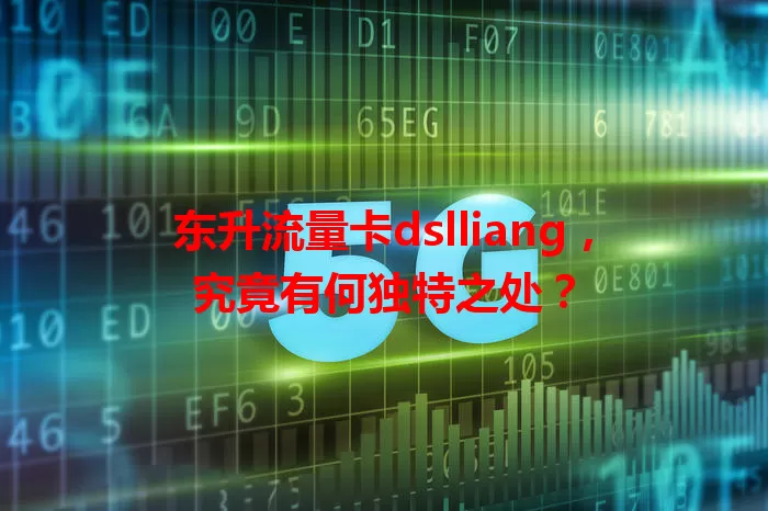 东升流量卡dslliang，究竟有何独特之处？