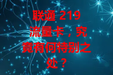 联通 219 流量卡，究竟有何特别之处？