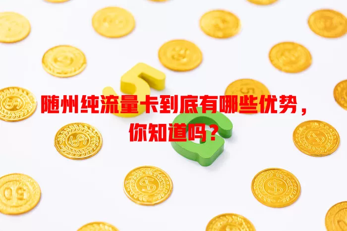 随州纯流量卡到底有哪些优势，你知道吗？