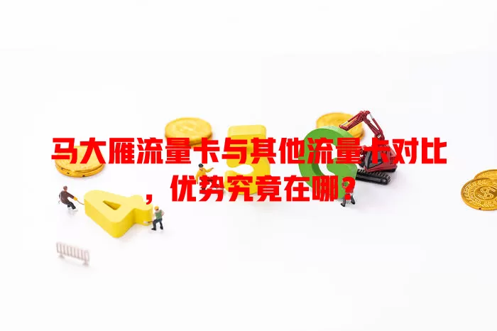 马大雁流量卡与其他流量卡对比，优势究竟在哪？