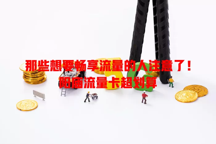 那些想要畅享流量的人注意了！阳庙流量卡超划算