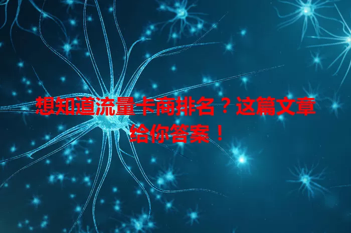 想知道流量卡商排名？这篇文章给你答案！
