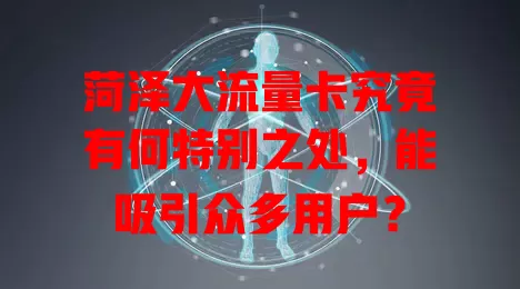菏泽大流量卡究竟有何特别之处，能吸引众多用户？