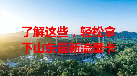 了解这些，轻松拿下山东最新流量卡