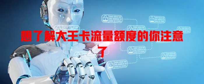 想了解大王卡流量额度的你注意了