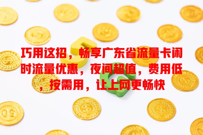 巧用这招，畅享广东省流量卡闲时流量优惠，夜间超值，费用低，按需用，让上网更畅快