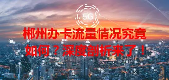 郴州办卡流量情况究竟如何？深度剖析来了！