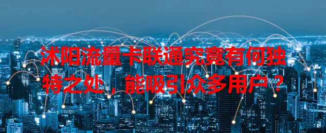 沭阳流量卡联通究竟有何独特之处，能吸引众多用户？