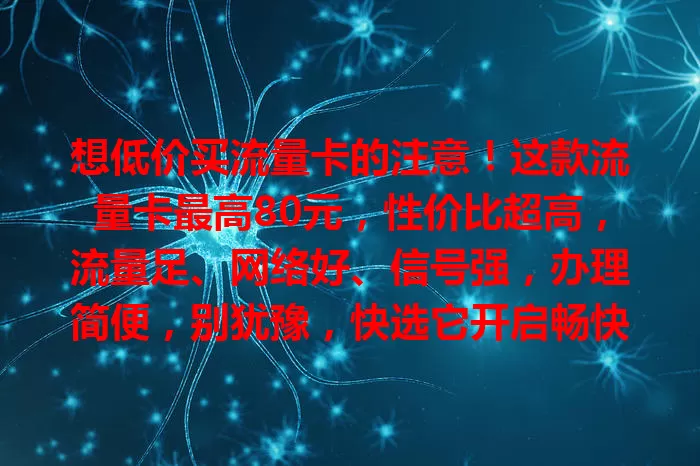 想低价买流量卡的注意！这款流量卡最高80元，性价比超高，流量足、网络好、信号强，办理简便，别犹豫，快选它开启畅快上网生活！