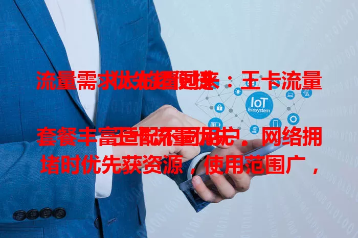 流量需求大的看过来：王卡流量优先超便捷

王卡流量优先，套餐丰富适配不同用户。网络拥堵时优先获资源，使用范围广，偏远地区也能畅快用。给流量大户带来便利优势，让你无惧流量烦恼，开启优质体验
