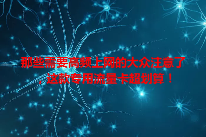 那些需要高频上网的大众注意了，这款专用流量卡超划算！