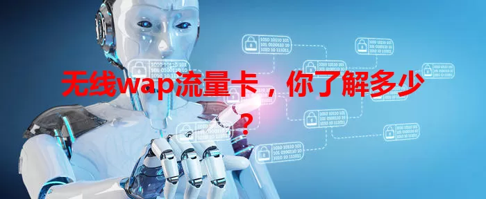 无线wap流量卡，你了解多少？