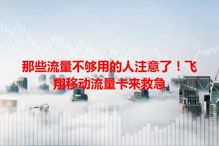 那些流量不够用的人注意了！飞翔移动流量卡来救急