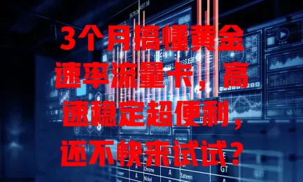 3个月搞懂黄金速率流量卡，高速稳定超便利，还不快来试试？