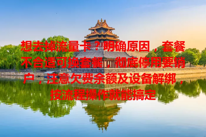 想去掉流量卡？明确原因，套餐不合适可换套餐，彻底停用要销户，注意欠费余额及设备解绑，按流程操作就能搞定