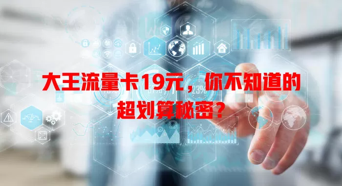 大王流量卡19元，你不知道的超划算秘密？