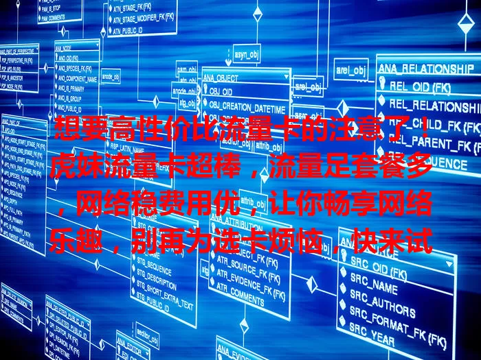 想要高性价比流量卡的注意了！虎妹流量卡超棒，流量足套餐多，网络稳费用优，让你畅享网络乐趣，别再为选卡烦恼，快来试试虎妹流量卡！