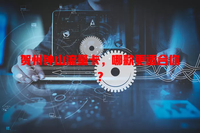 贺州钟山流量卡，哪款更适合你？