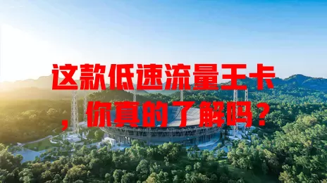 这款低速流量王卡，你真的了解吗？