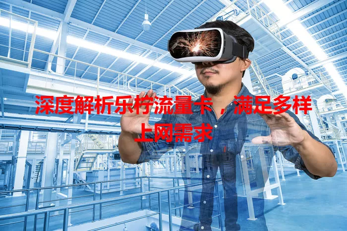 深度解析乐柠流量卡，满足多样上网需求