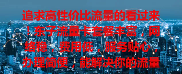 追求高性价比流量的看过来！东子流量卡套餐丰富，网络稳，费用低，服务贴心，办理简便，能解决你的流量烦恼，开启精彩网络生活