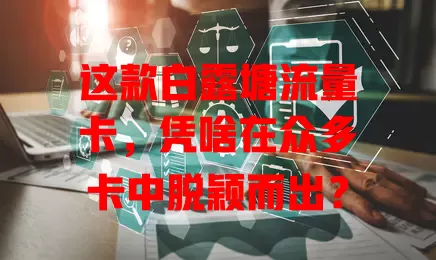 这款白露塘流量卡，凭啥在众多卡中脱颖而出？