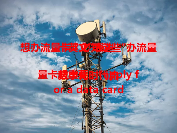 想办流量卡？必知这些“办流量卡英文”表达

数字化时代流量卡超重要，“apply for a data card”是常见说法，“get a data card”“obtain a data card”也常用。掌握这些英文表达，让你在国际交流或国外办业务时沟通更顺畅！