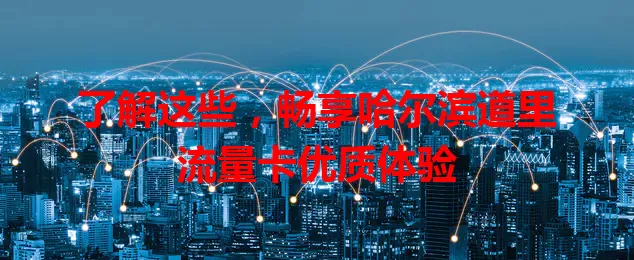 了解这些，畅享哈尔滨道里流量卡优质体验