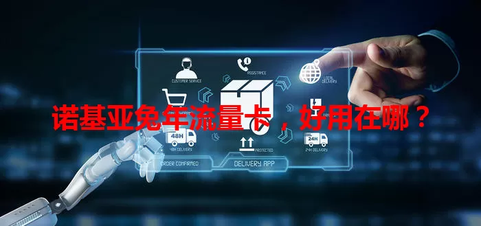 诺基亚兔年流量卡，好用在哪？