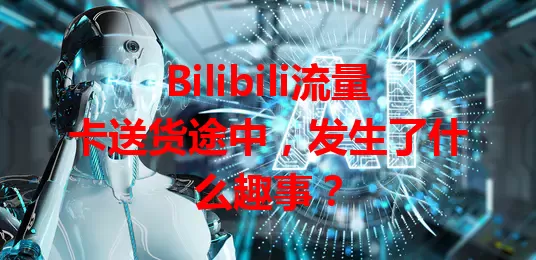 Bilibili流量卡送货途中，发生了什么趣事？