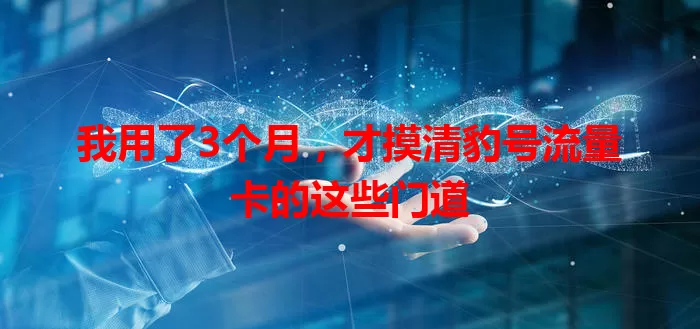 我用了3个月，才摸清豹号流量卡的这些门道