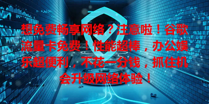 想免费畅享网络？注意啦！谷歌流量卡免费！性能超棒，办公娱乐超便利，不花一分钱，抓住机会升级网络体验！