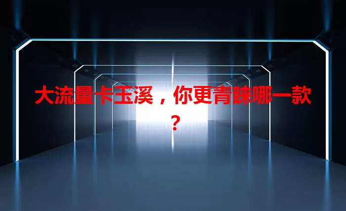 大流量卡玉溪，你更青睐哪一款？
