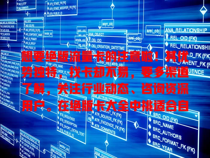 想要绝版流量卡的注意啦！其优势独特，找卡却不易，要多渠道了解，关注行业动态、咨询资深用户。在绝版卡大全中挑适合自己的虽有挑战，但乐趣满满且充满可能！