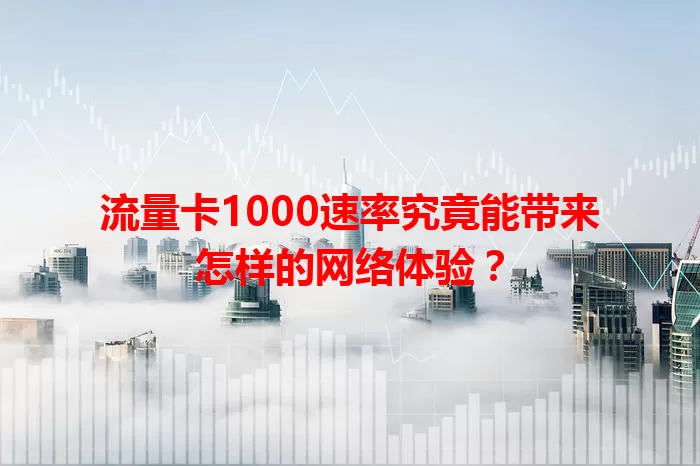 流量卡1000速率究竟能带来怎样的网络体验？
