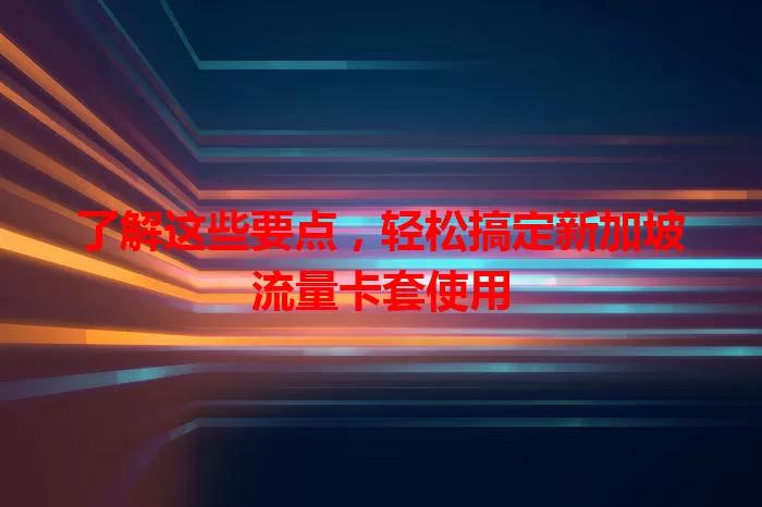 了解这些要点，轻松搞定新加坡流量卡套使用