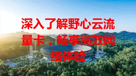 深入了解野心云流量卡，畅享高效网络体验