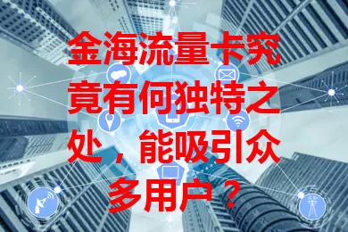 金海流量卡究竟有何独特之处，能吸引众多用户？