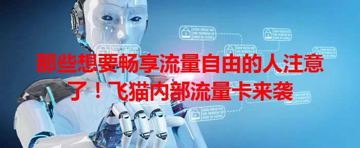 那些想要畅享流量自由的人注意了！飞猫内部流量卡来袭