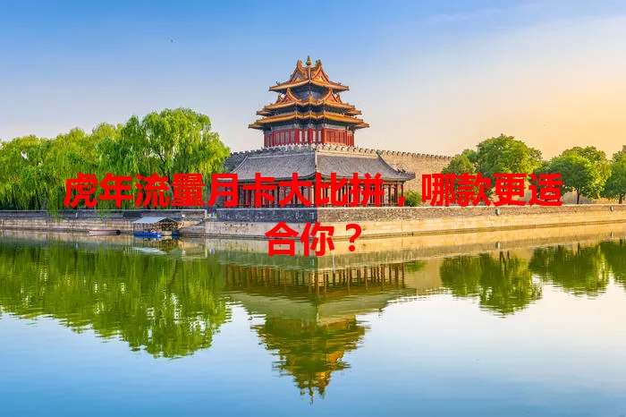 虎年流量月卡大比拼，哪款更适合你？