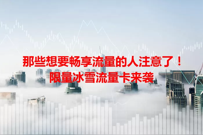 那些想要畅享流量的人注意了！限量冰雪流量卡来袭