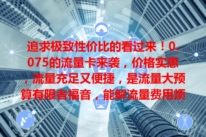 追求极致性价比的看过来！0.075的流量卡来袭，价格实惠，流量充足又便捷，是流量大预算有限者福音，能解流量费用烦恼，给网络生活带来便利实惠