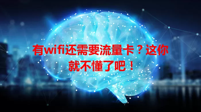 有wifi还需要流量卡？这你就不懂了吧！