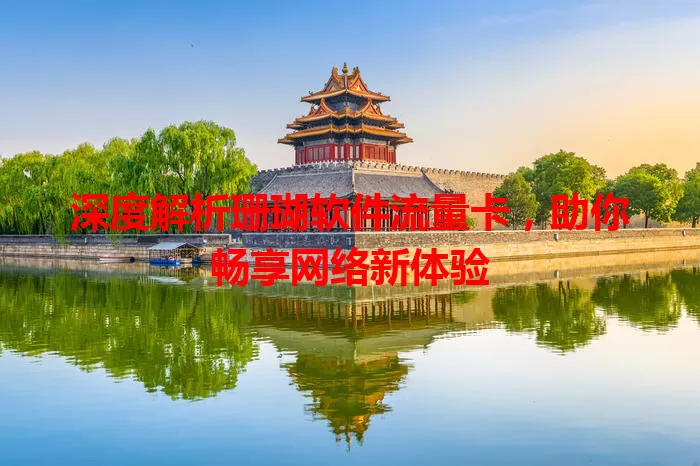 深度解析珊瑚软件流量卡，助你畅享网络新体验