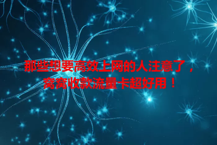 那些想要高效上网的人注意了，窝窝收款流量卡超好用！